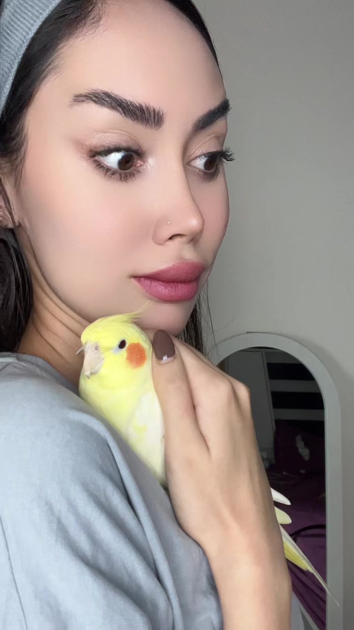 @frnzmohmdi
