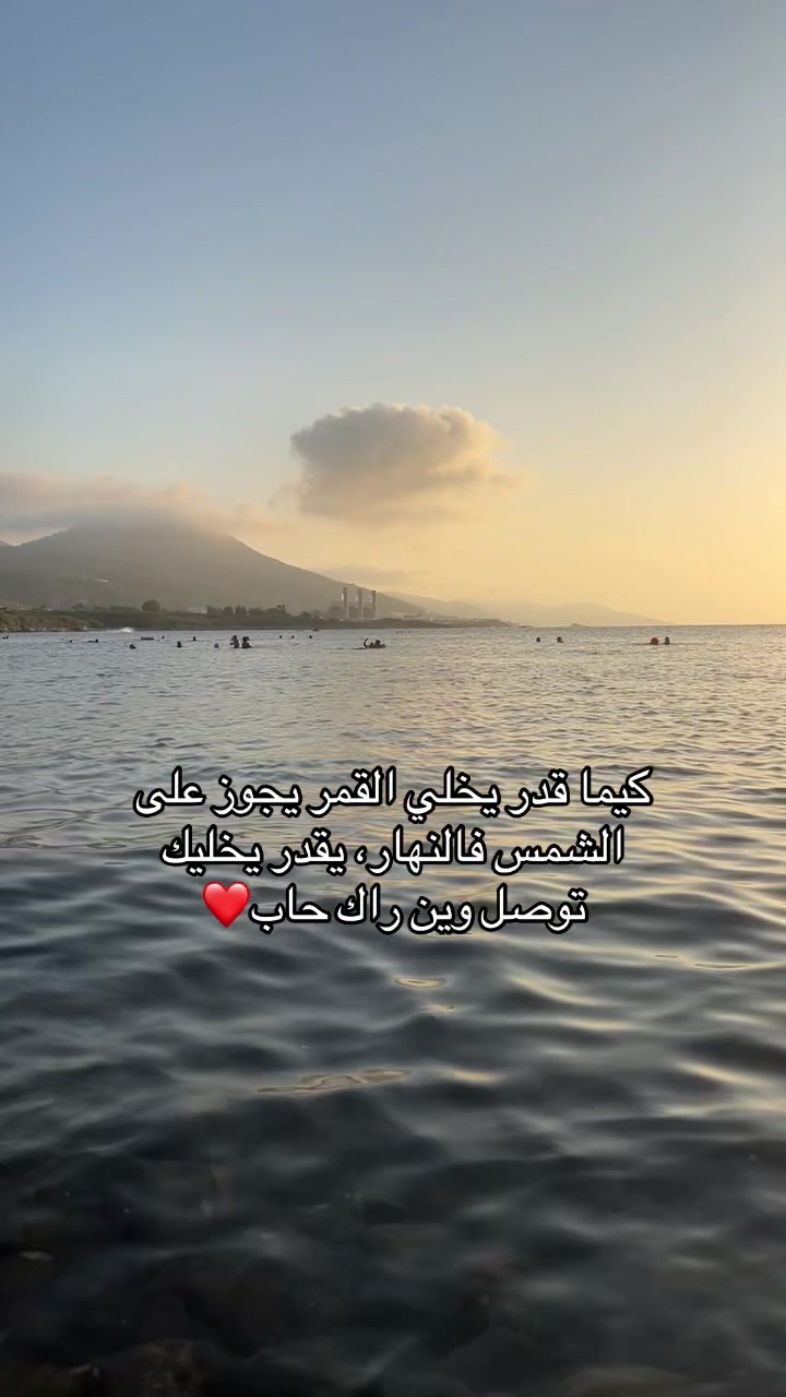 @🦢🌸