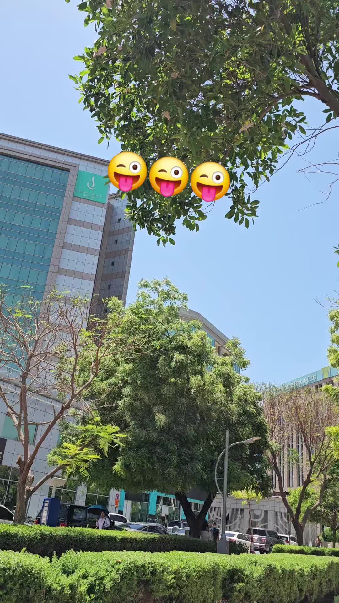 @Qurrat' Vlog