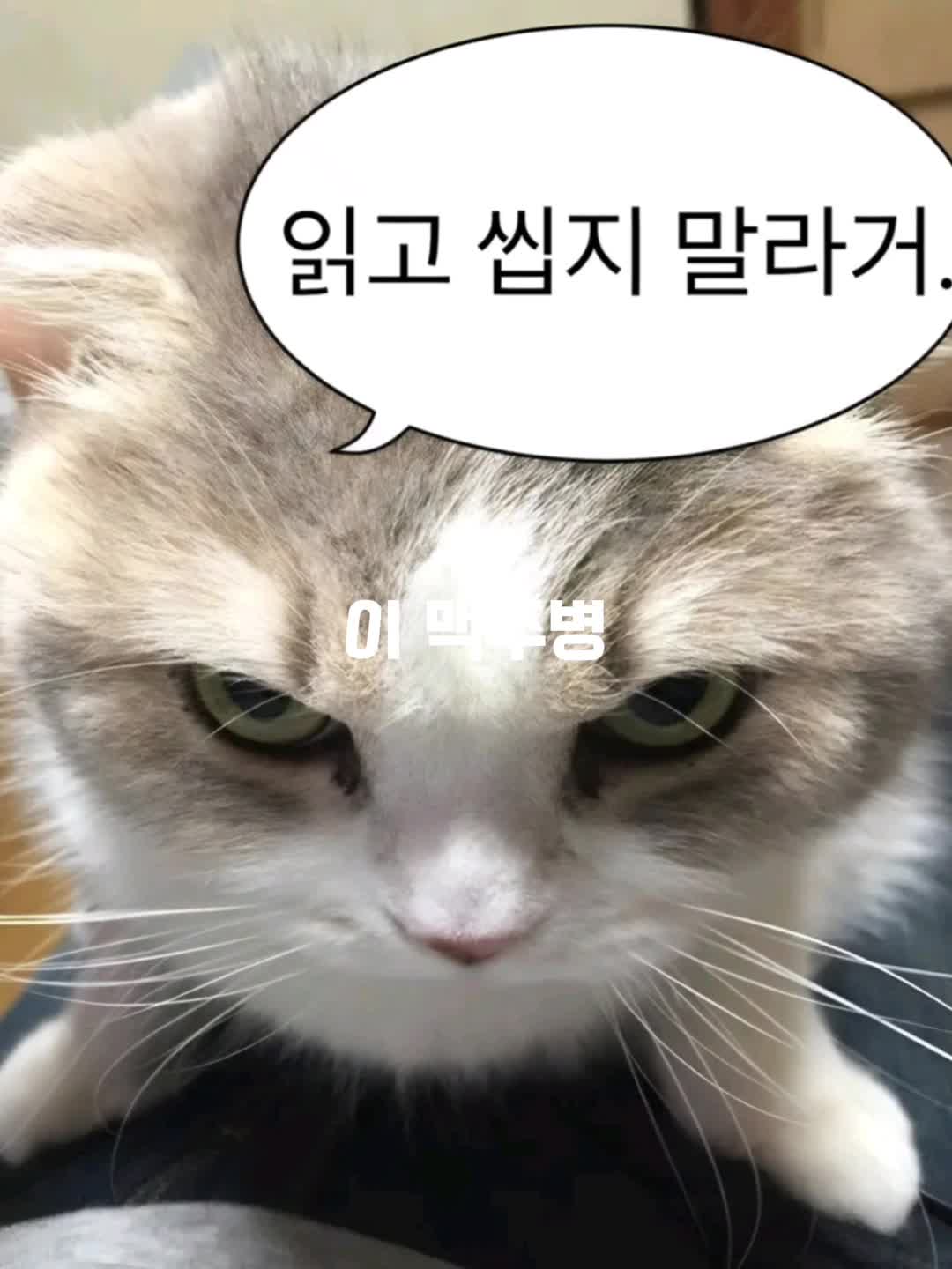 @이름추천좀