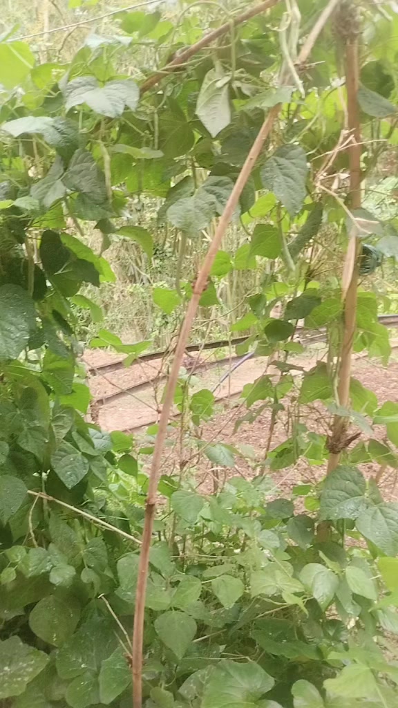 @parbati kunwar95