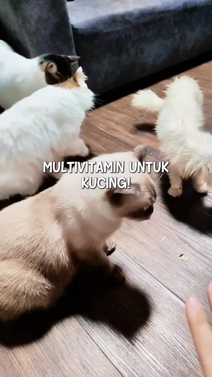 @Norazrena | Racun Tiktok