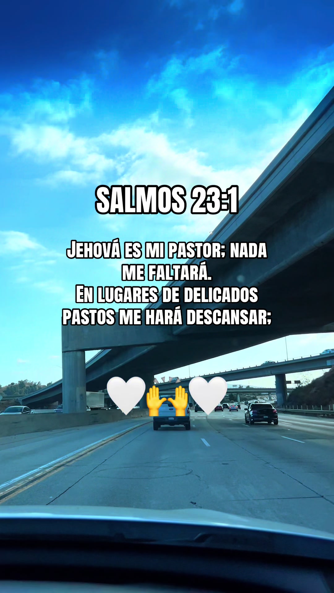 @🫡ROBIN CH&Aacute;VEZ  💇&zwj;♀️🐎🦅