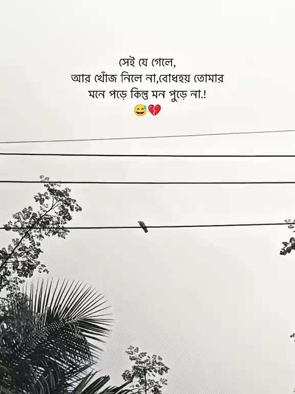 @Mr.CoolVibes