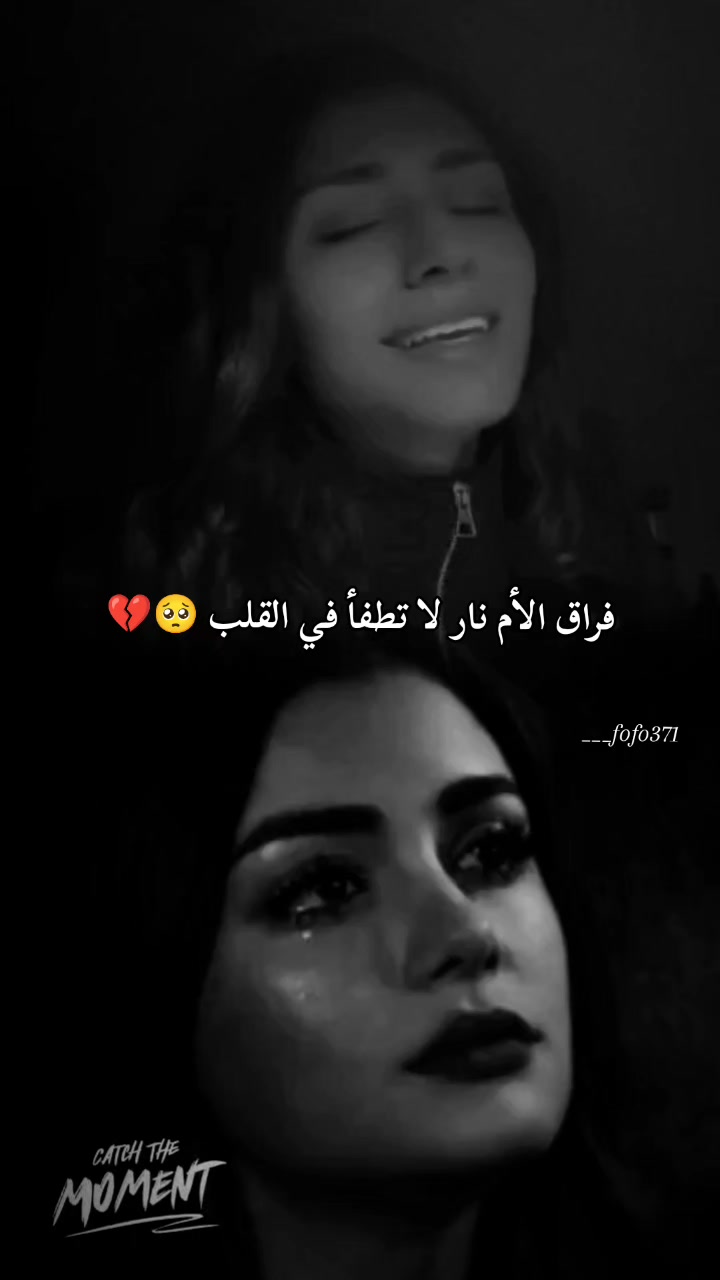@🦋فـ❣ـہوُفـ❣ـہوُ || ℱ𝒪 ℱ𝒪🦋