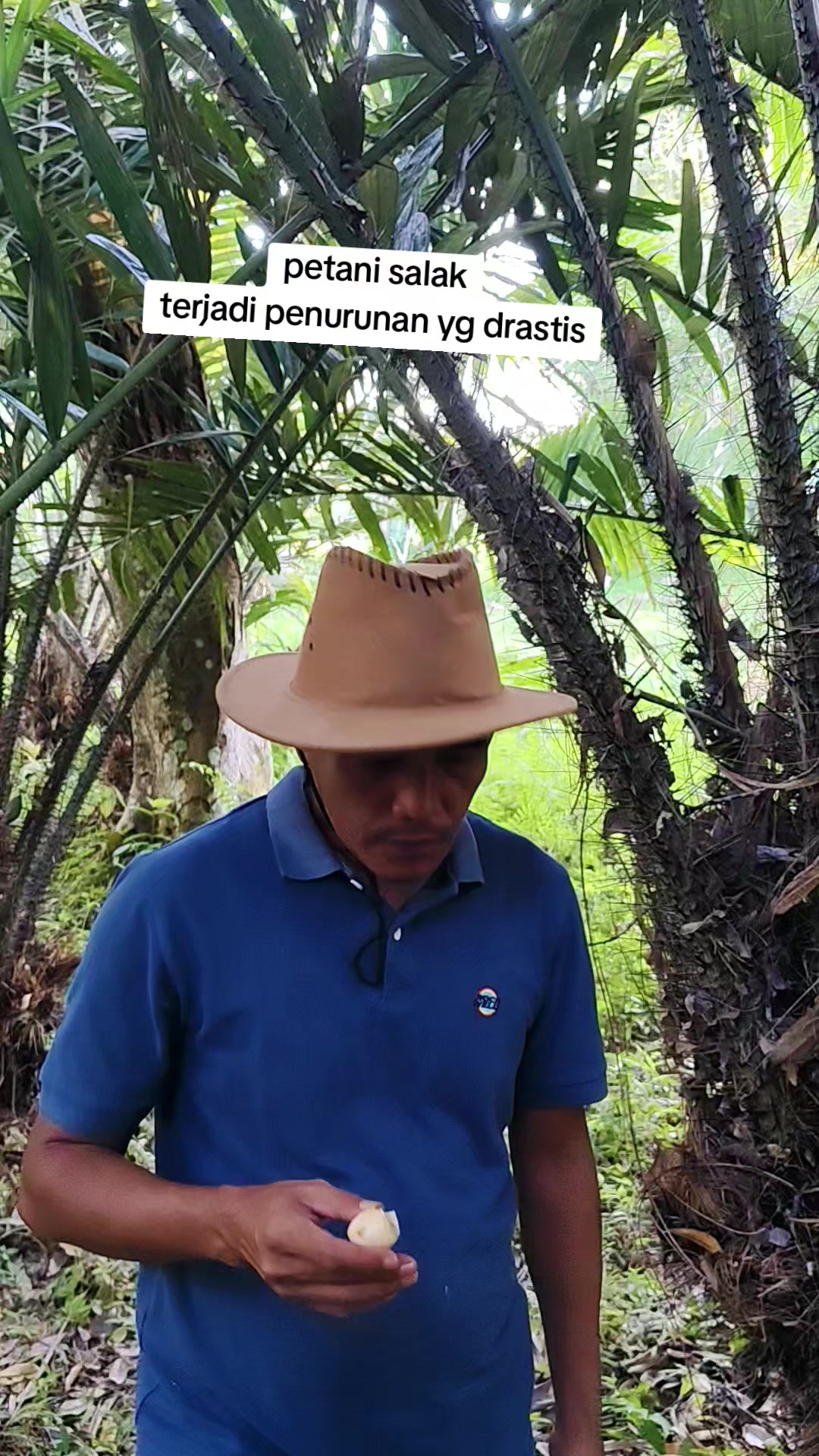 @petani kecil ujung tapsel
