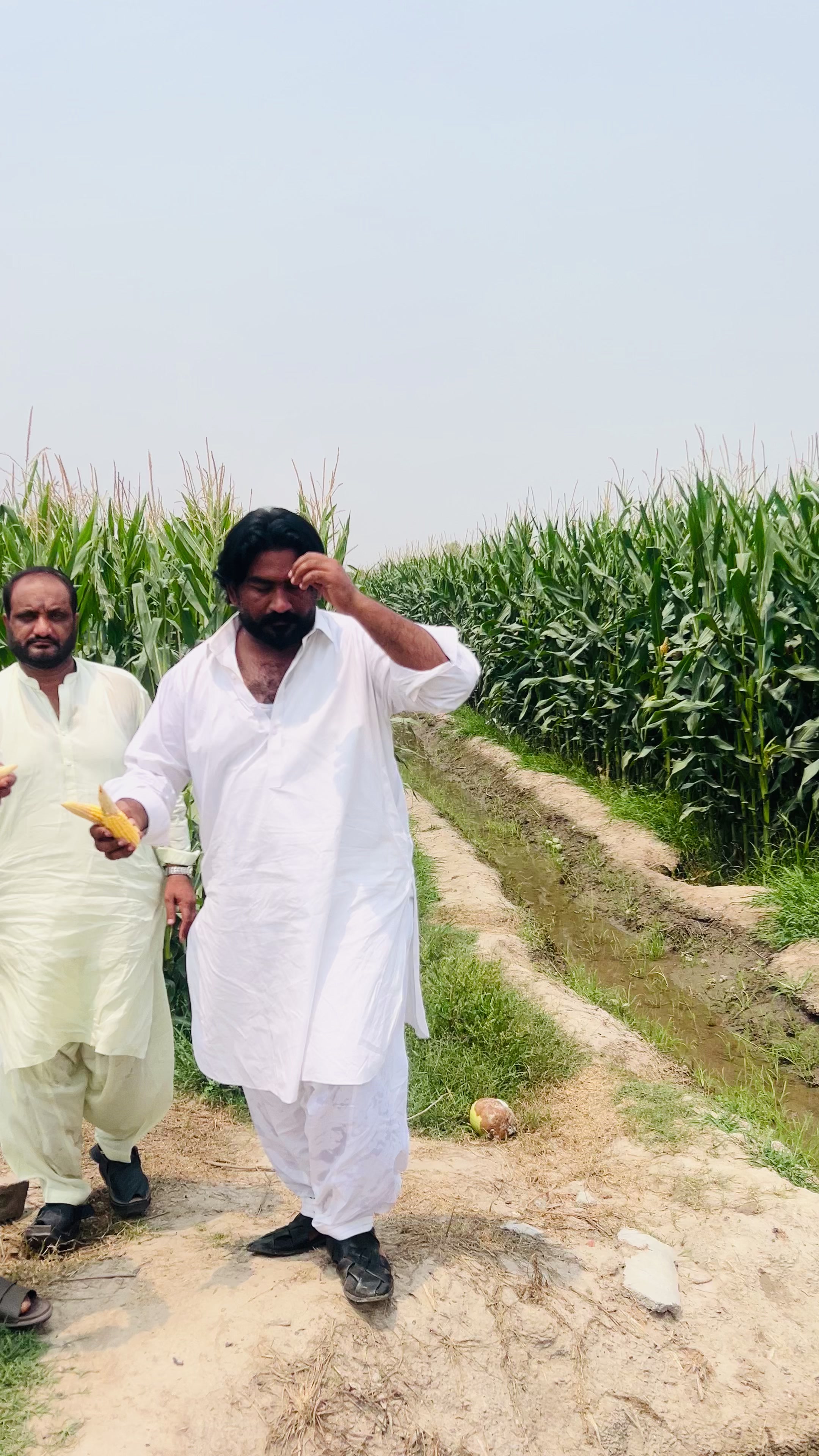 @SUNNY JAPPA