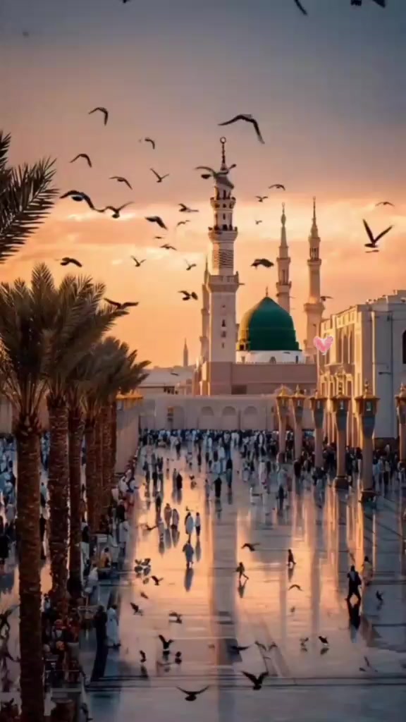 @Hina Malik