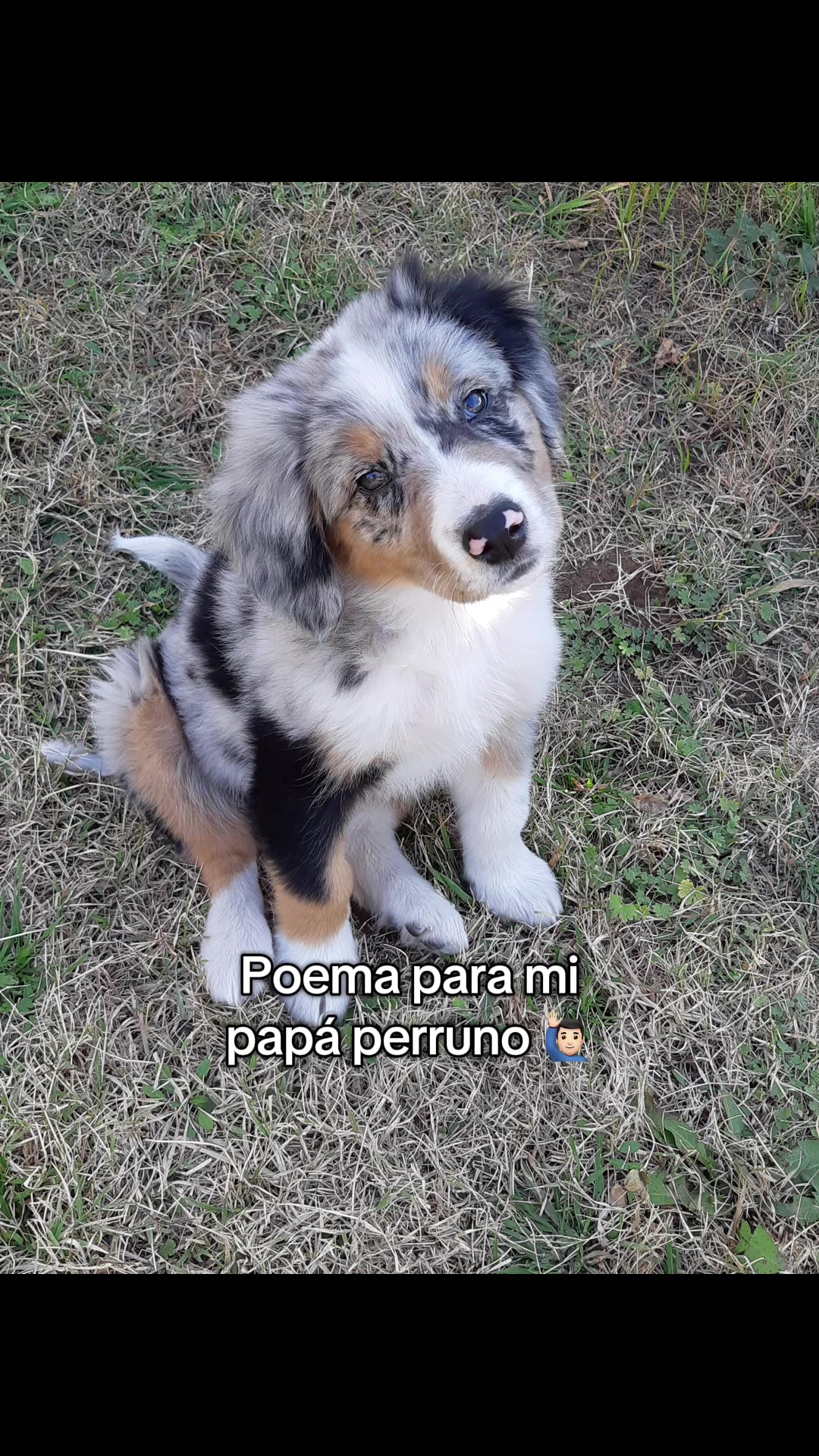 @Jessi Pellizza