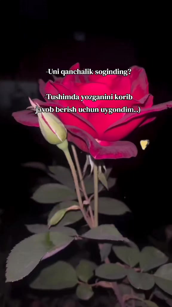 @Узгенская🫀