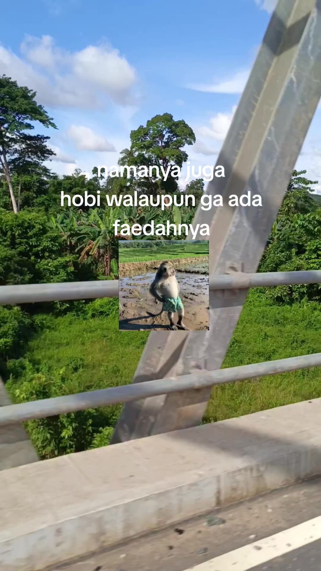 @dotzZe🇻🇳