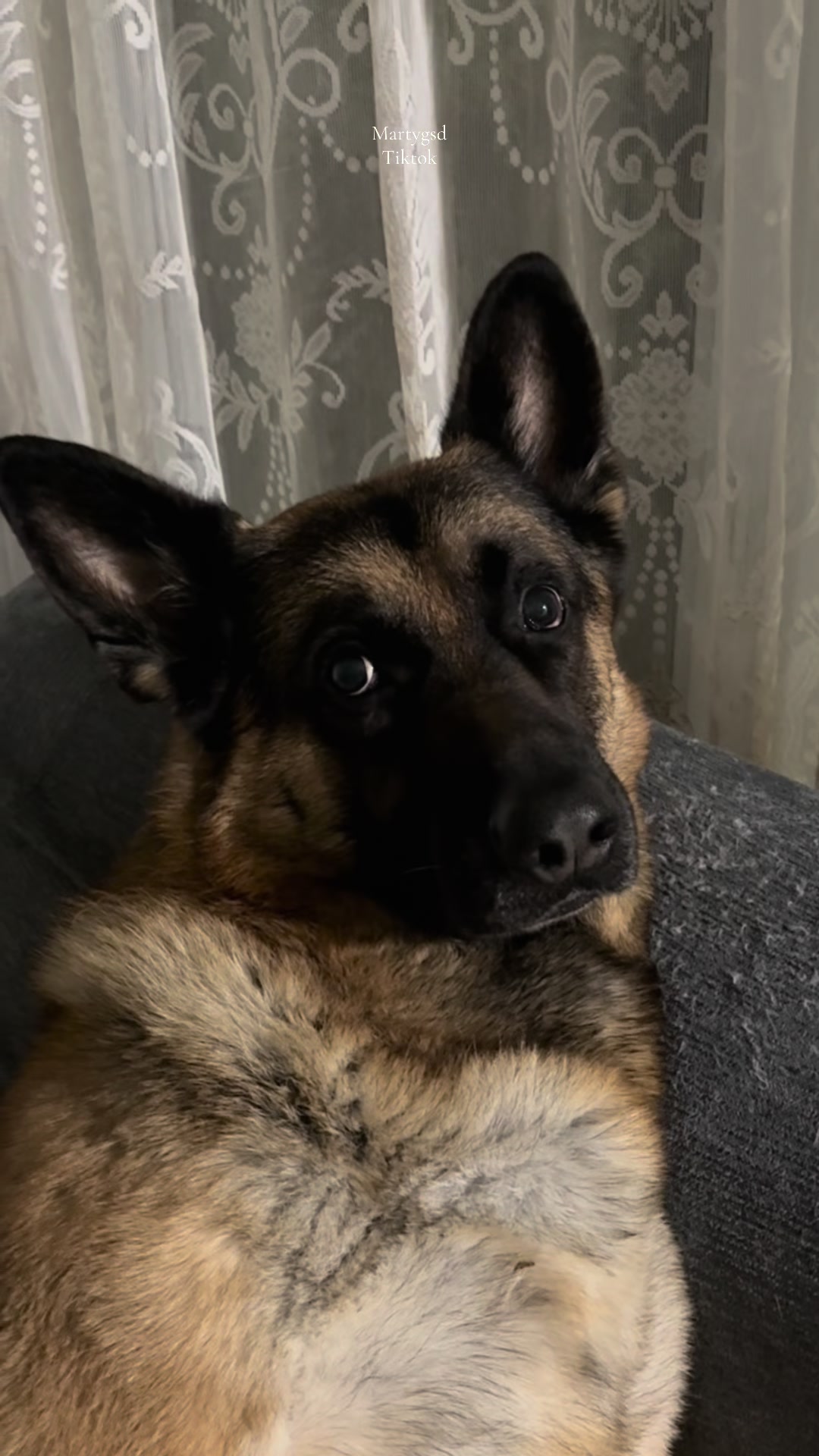 @Martygsd