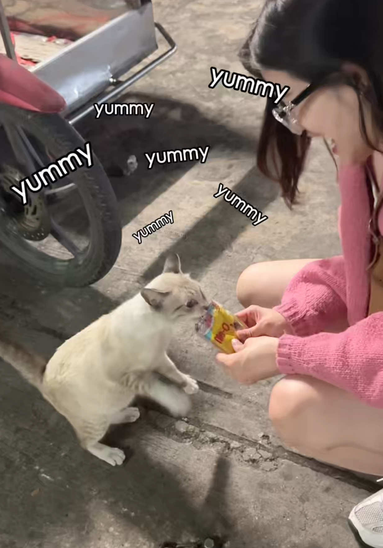 @myitimm