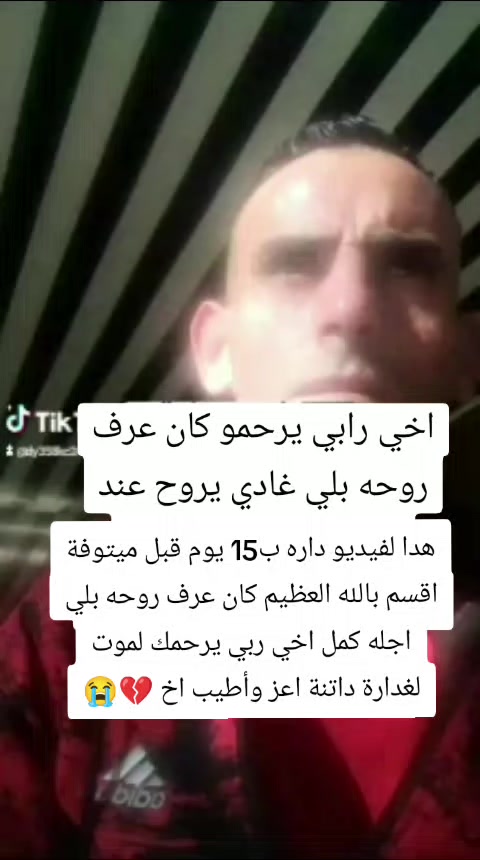 @عاشق لقطط😹