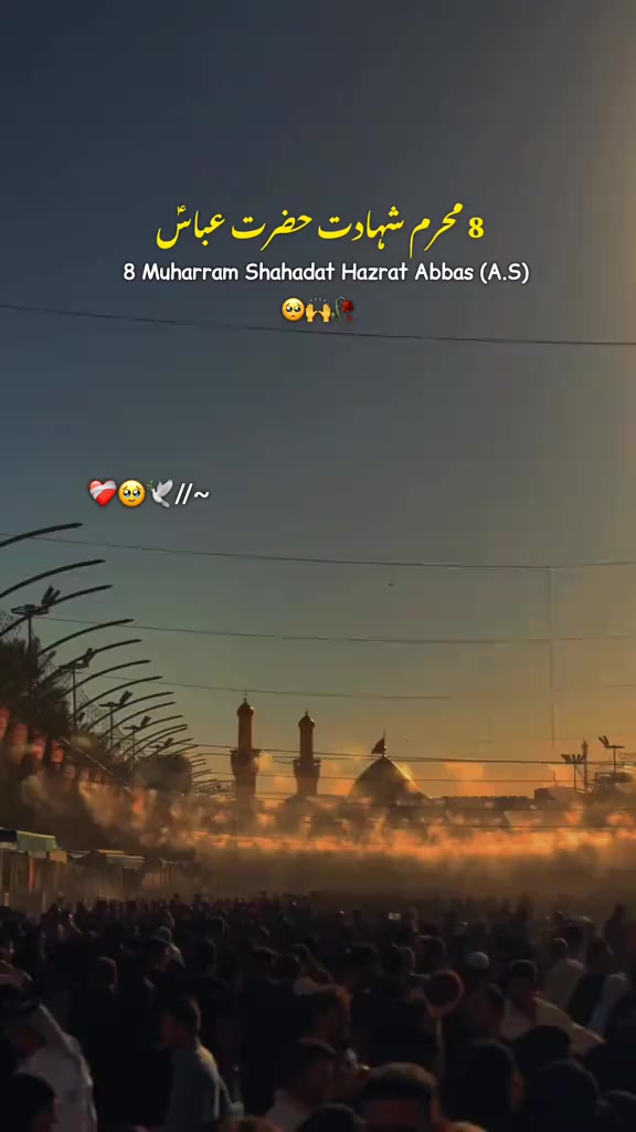 @Muزaمil Aلi