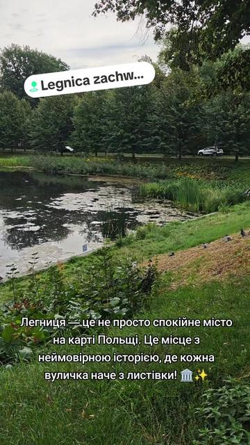 @Мир на ладошке