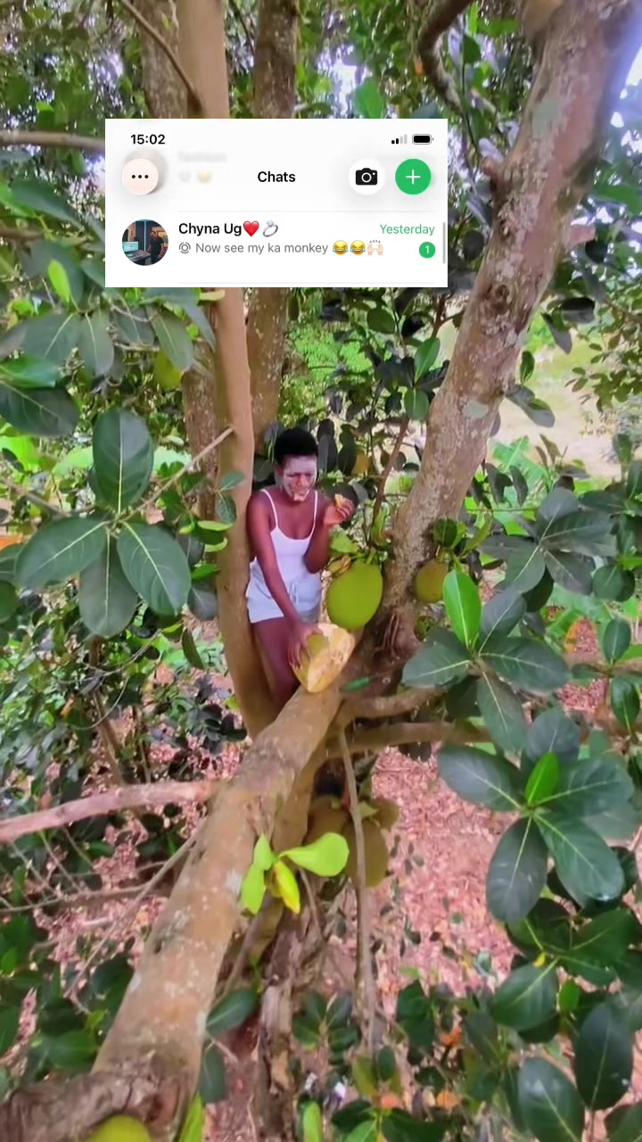 @Greenbaby1 🦁