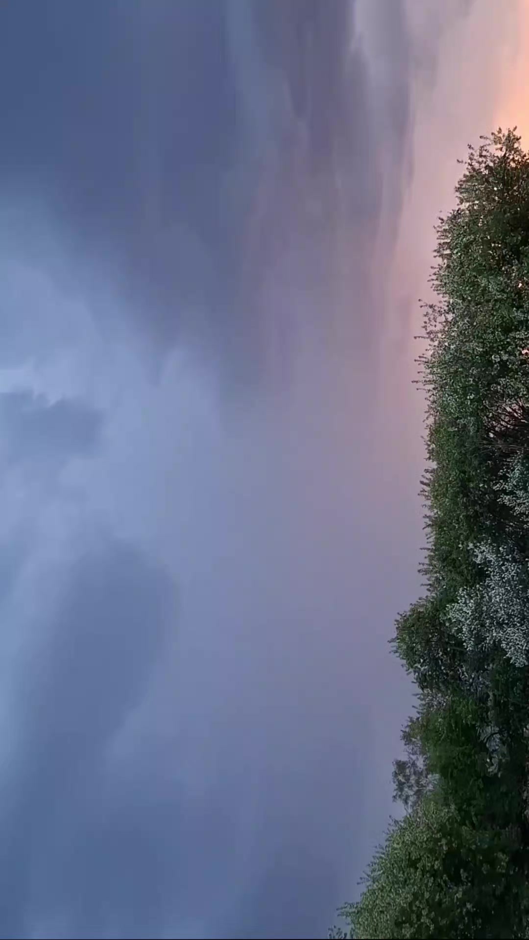 @Анастасия Корчагина