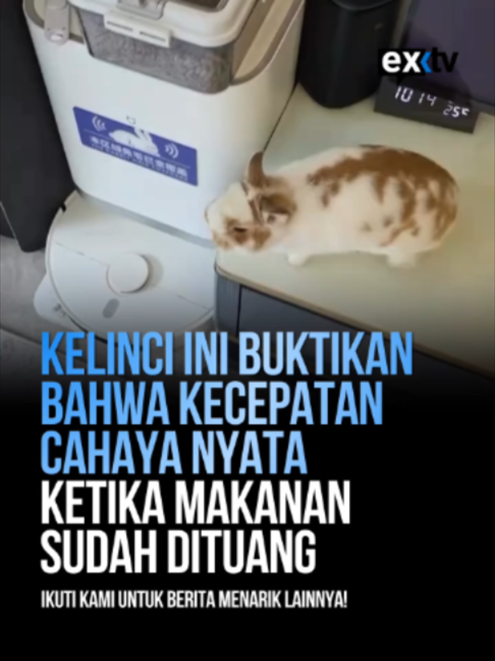 @Expressi Media