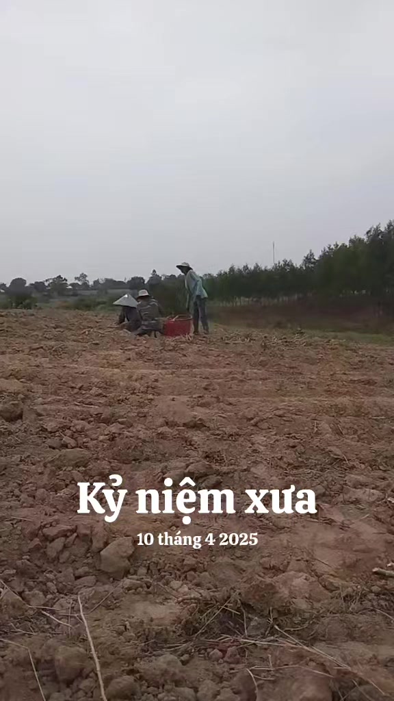 @@Ama &yacute;