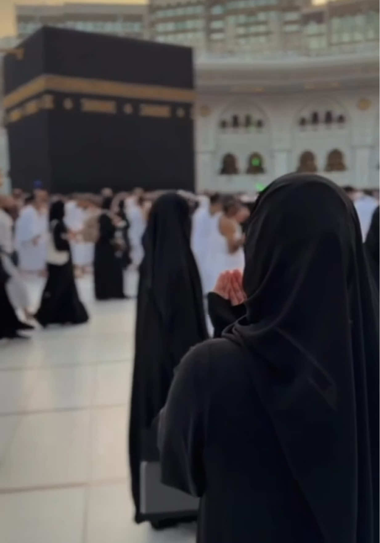 @﮼هناء﮼الفقيه🤍