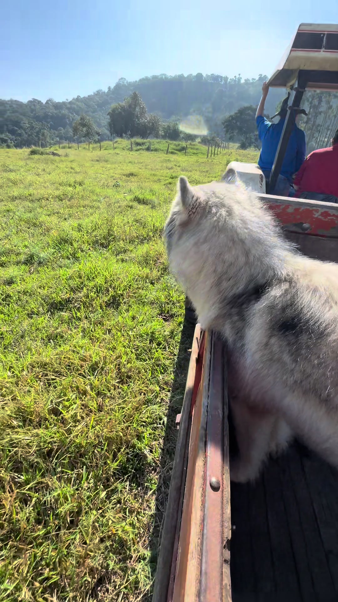 @Chorão