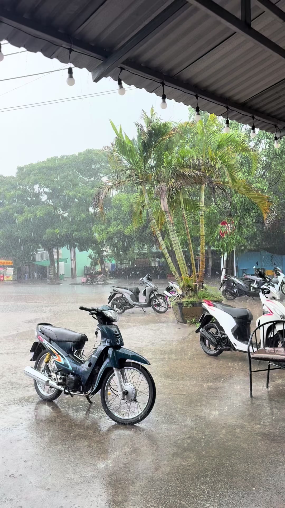 @Phương Tiểu store