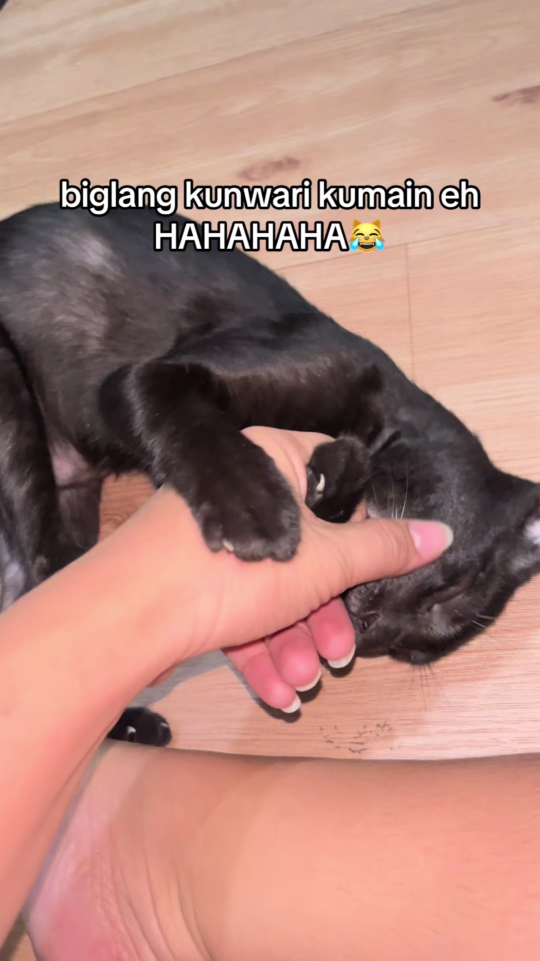 @aloiraellehcar92