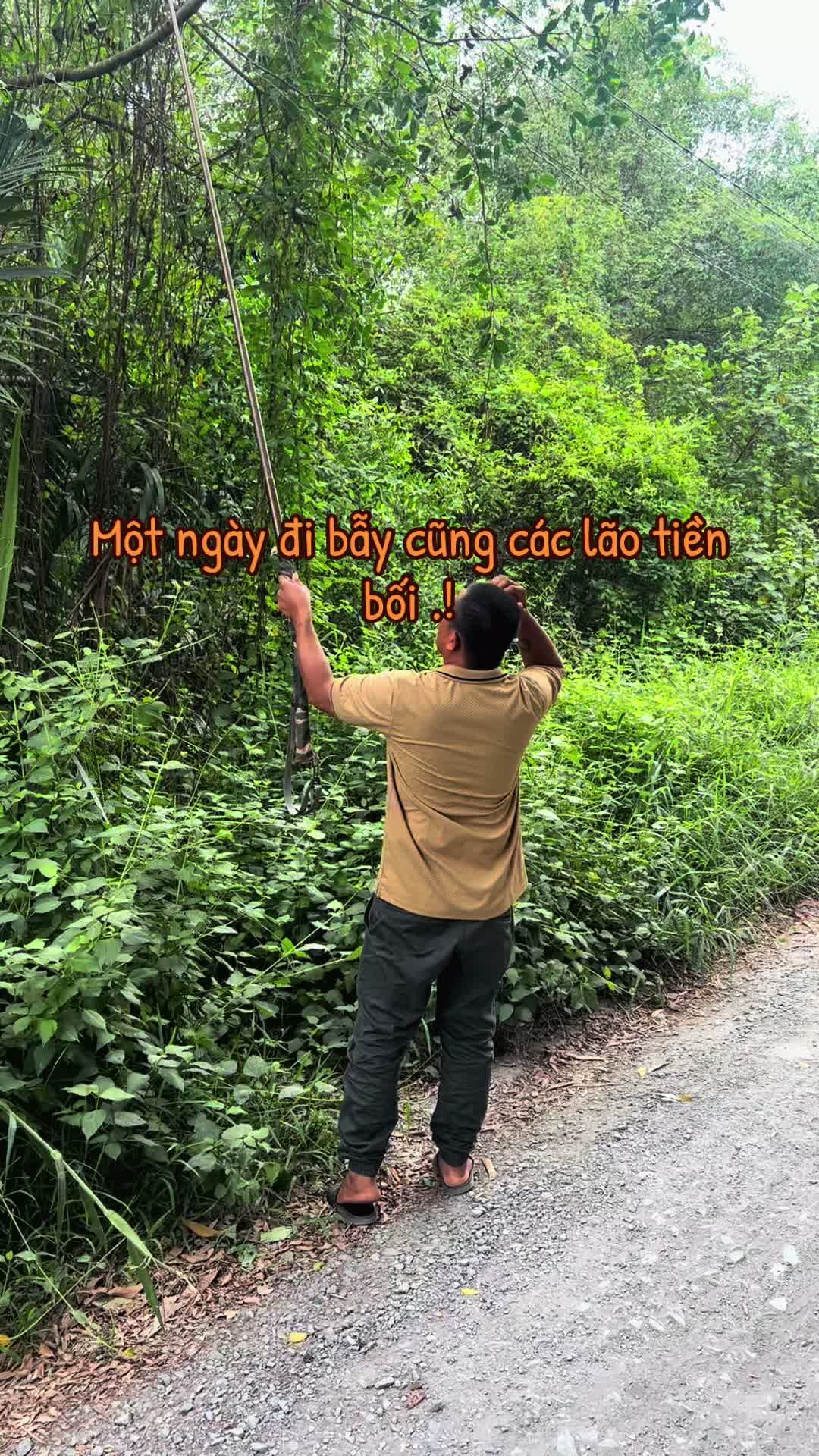 @Thanh Huynh .62