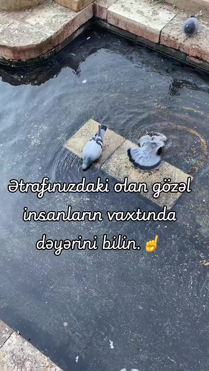 @๐ค๐ต๐๐๐๏ธ