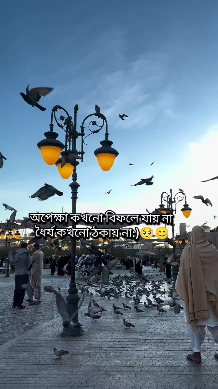 @══꙳̶p̶r̶o̶b̶a̶s̶i̶r̶ ̶b̶o̶w̶꙳̶