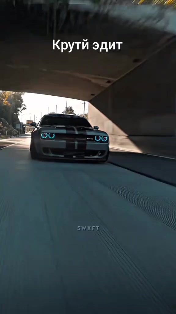 @sasha