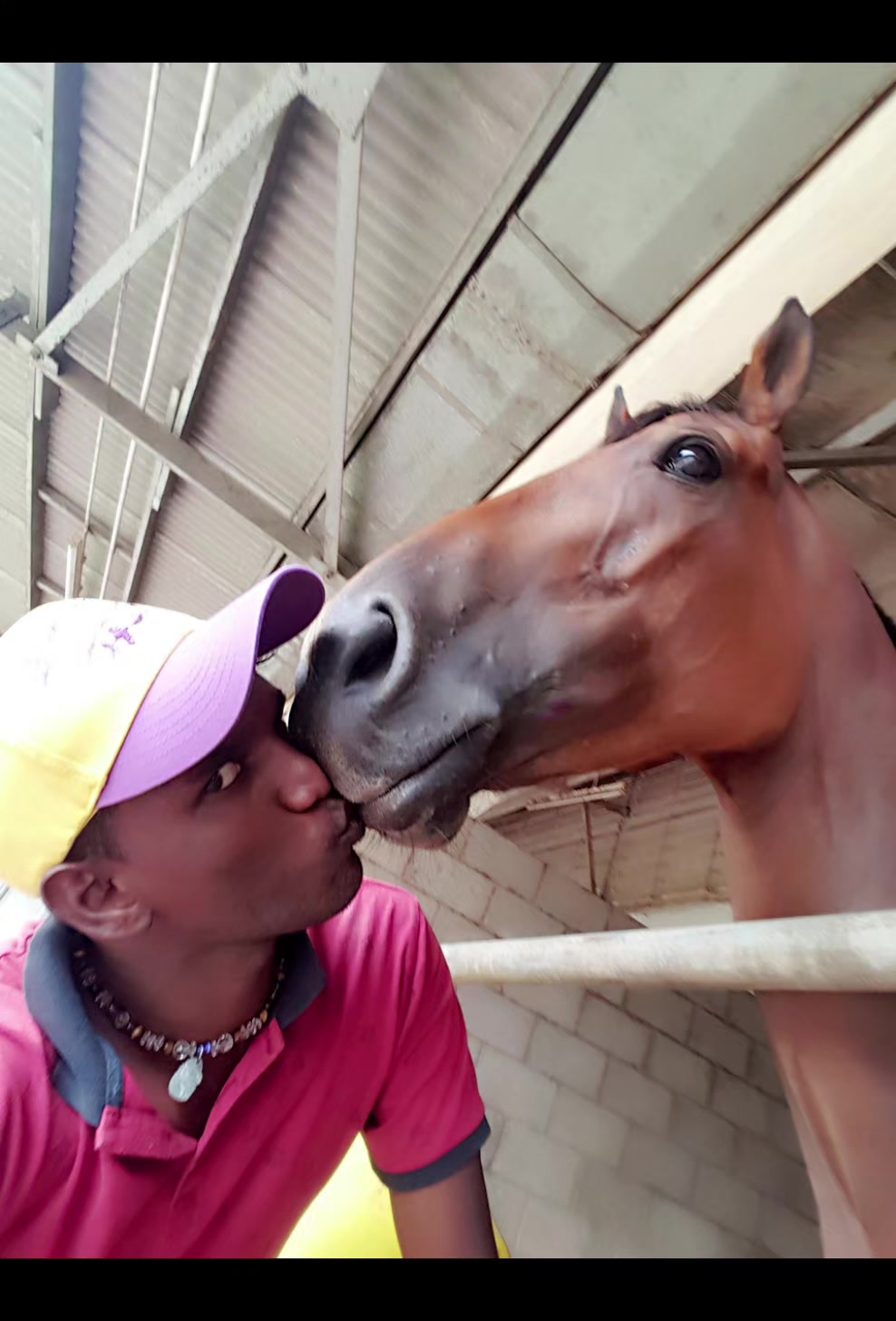 @kevin 🏆🏇🏇🏇🏆 🇸🇬🇲🇾🇳🇿
