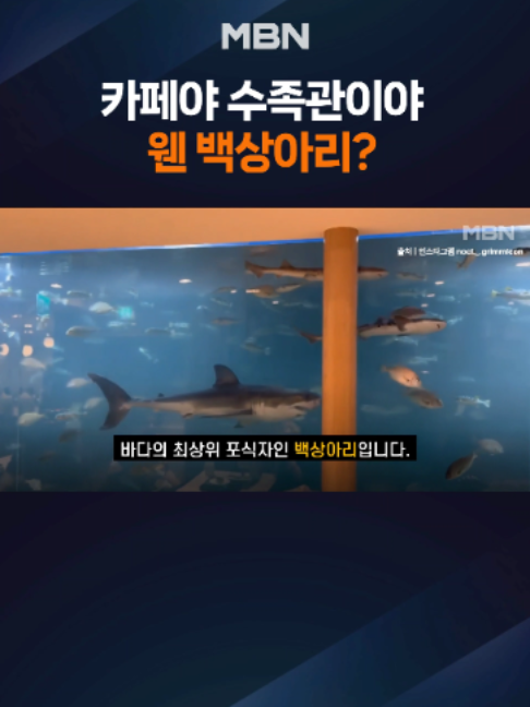 @MBN NEWS