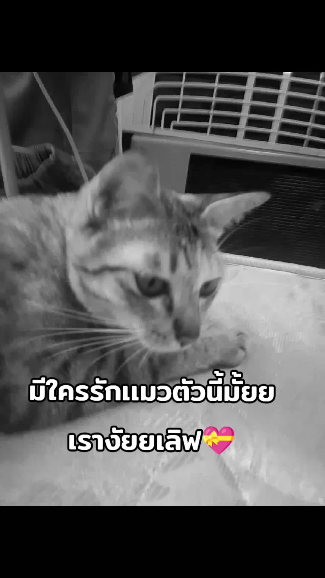@4/2ดิว่ะะ 016🤪