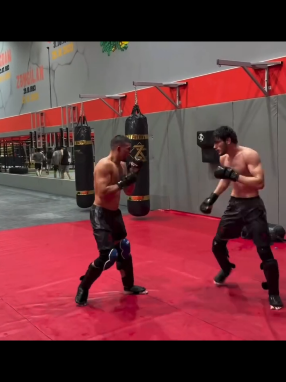 @🇺🇸MMA/AZE🇦🇿🇪🇺