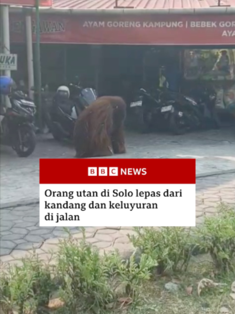 @bbcnewsindonesia