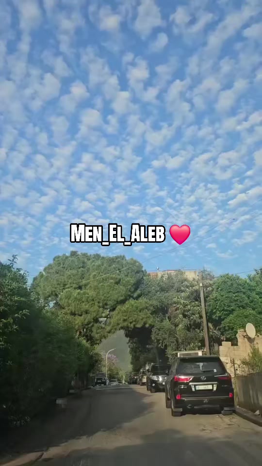@men__el__aleb