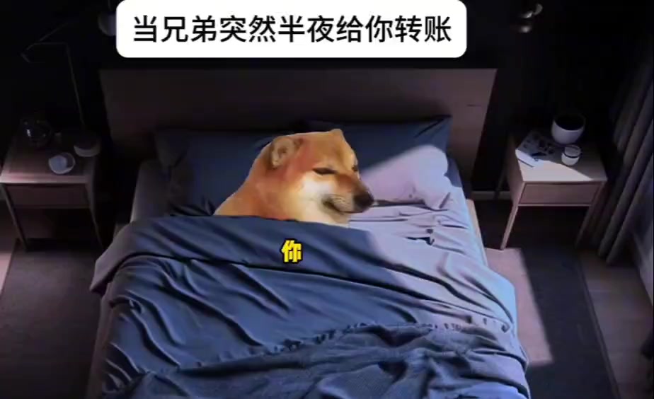 @白夜寒曜