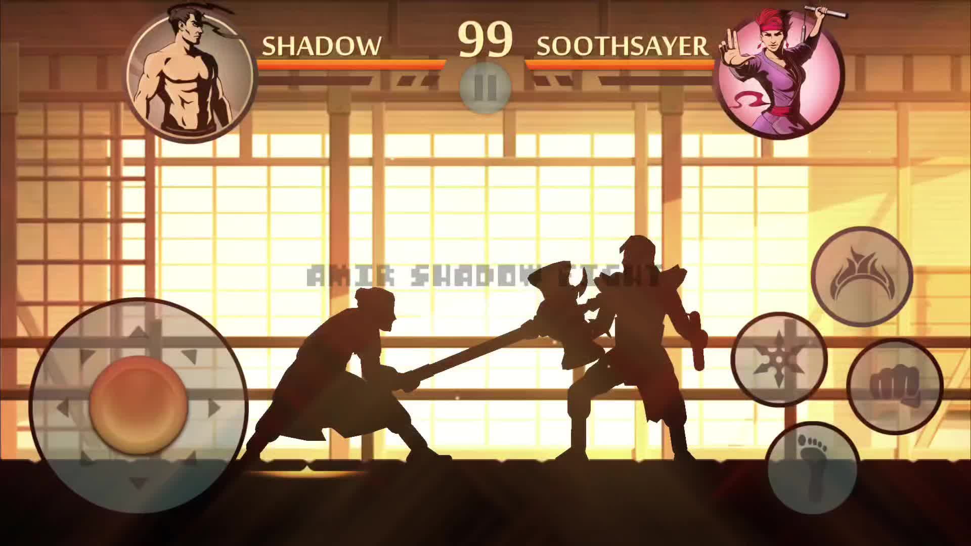 @Amir Shadow Fight