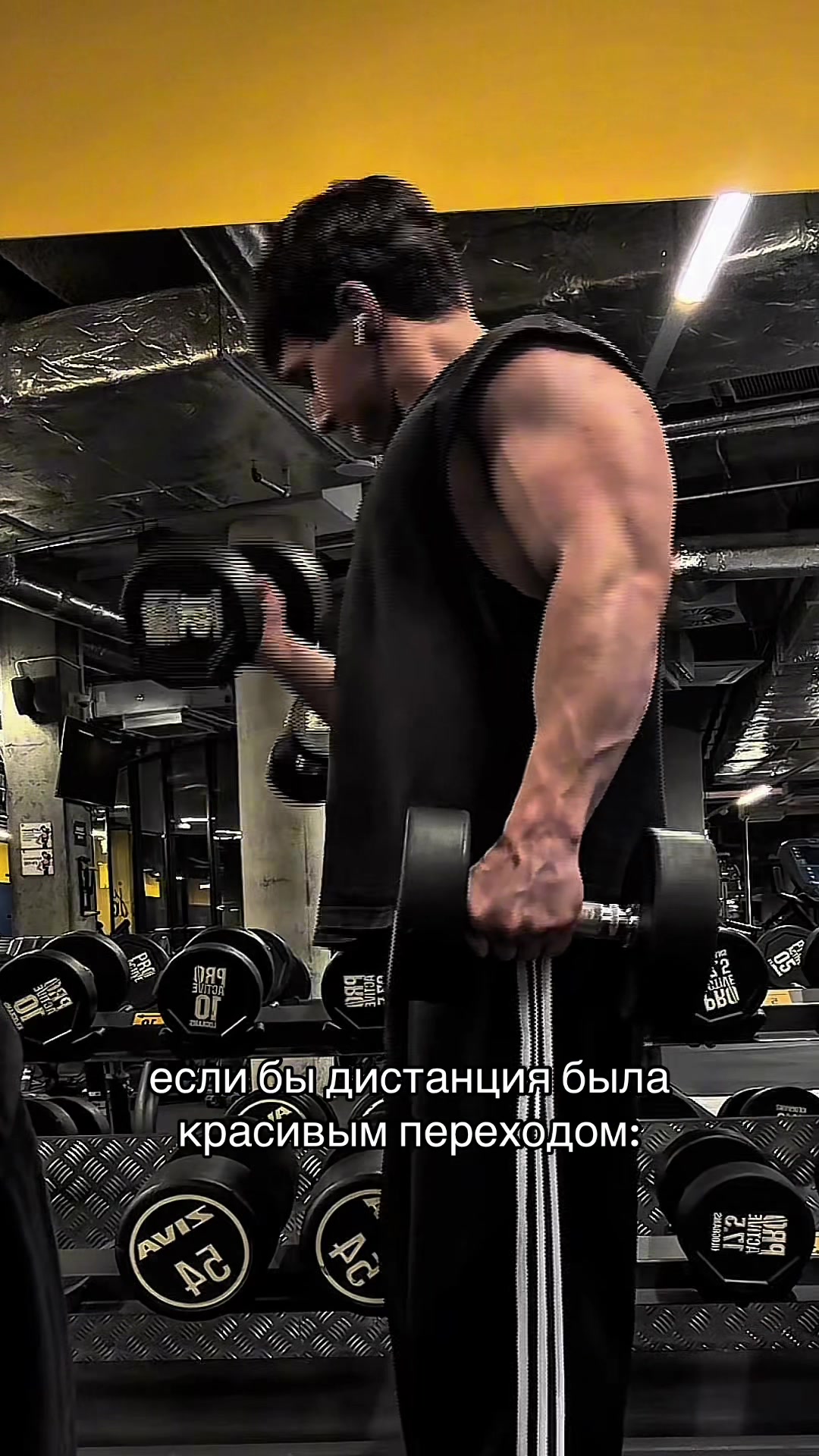 @пиши в тг mrbiceps21