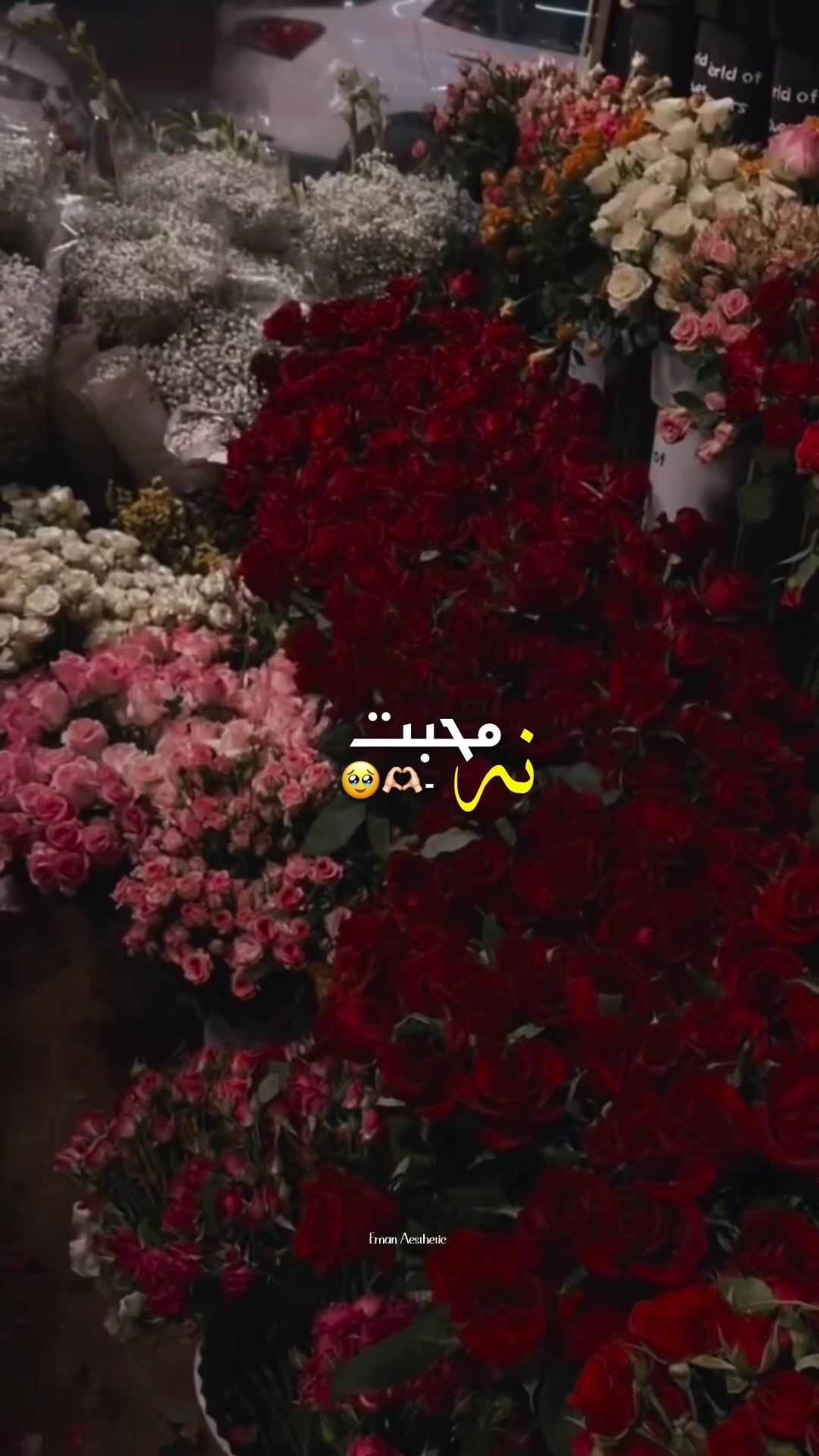 @𝙀 𝙈 𝘼 𝙉 🌸•