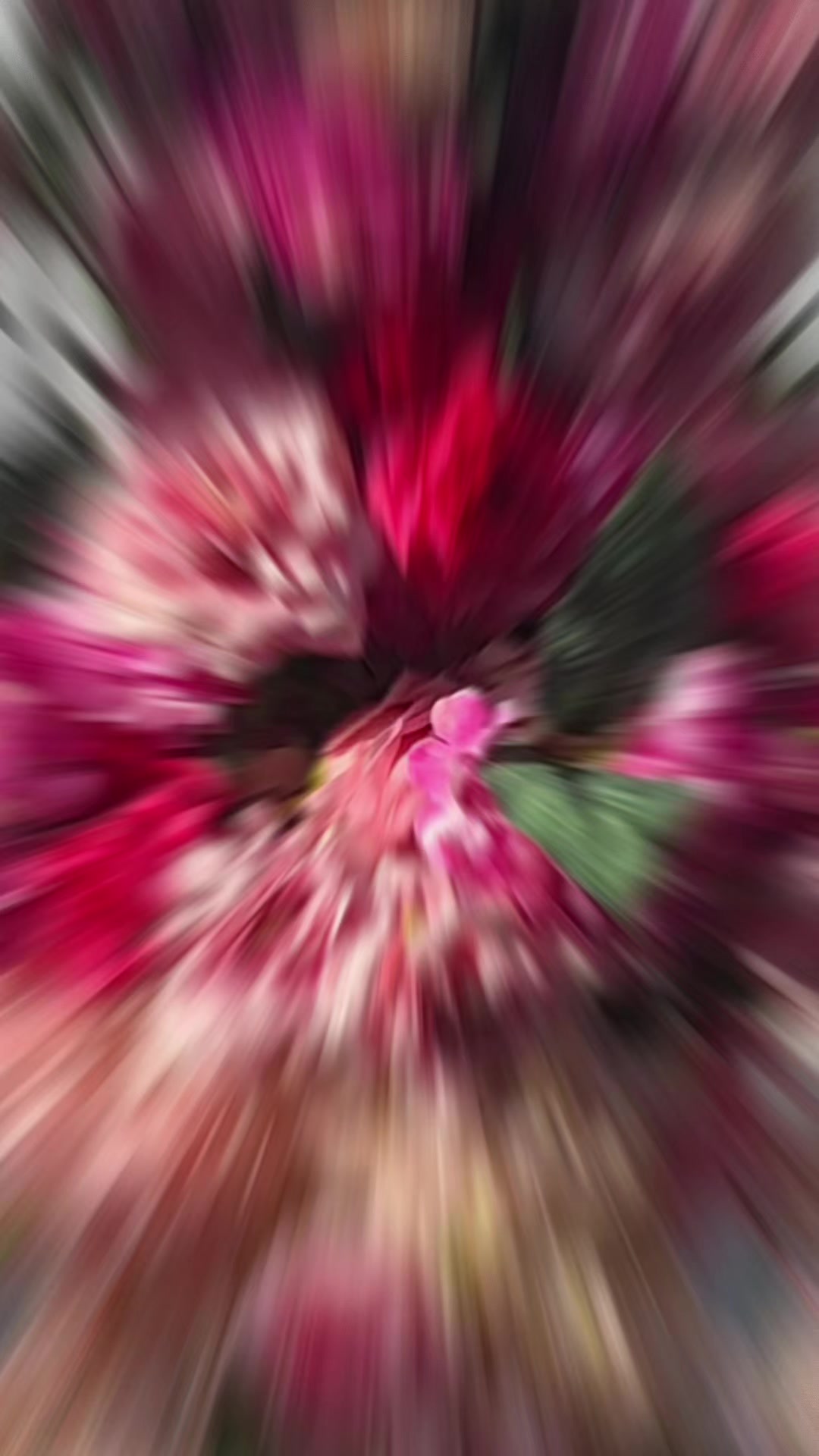 @sami