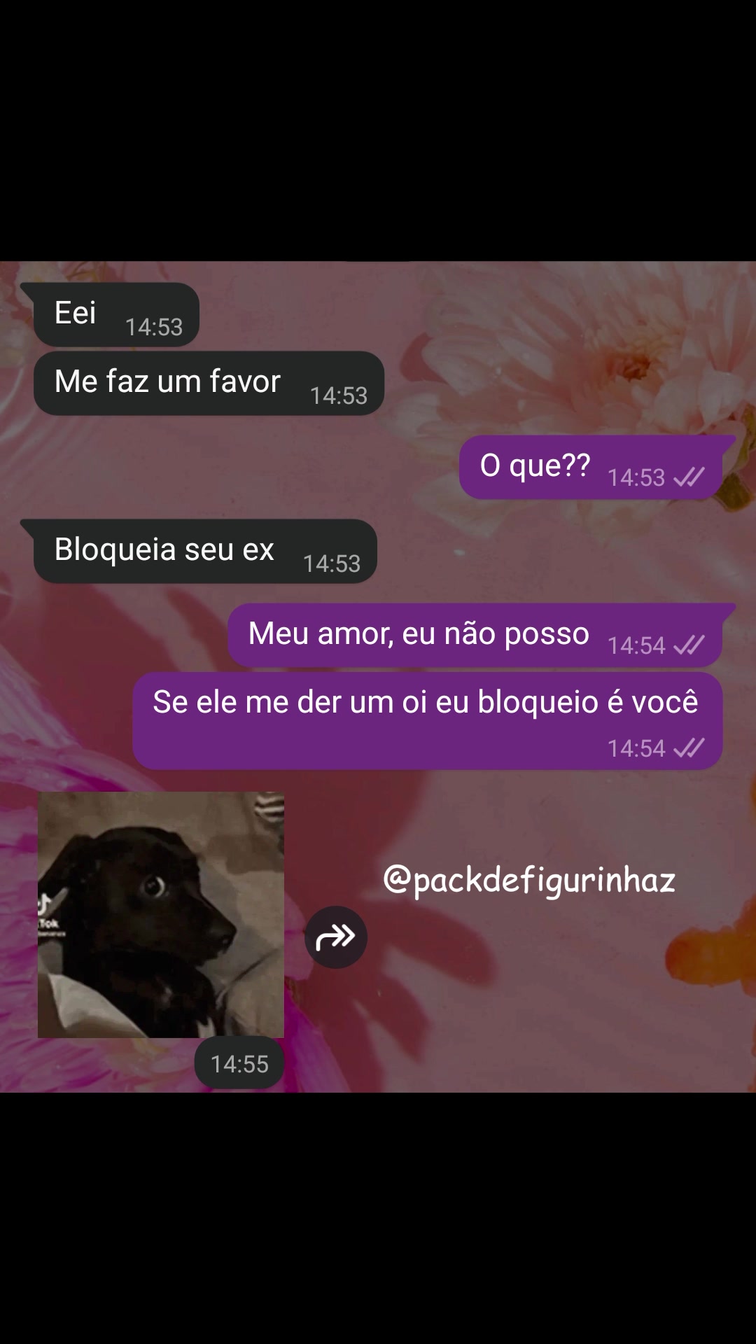@Pack de Figurinhas 🫣