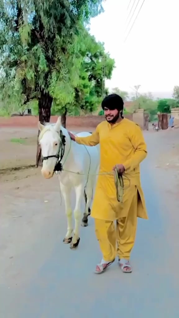 @👑نواب 💫 احسن 💫بھروانہ 🔥