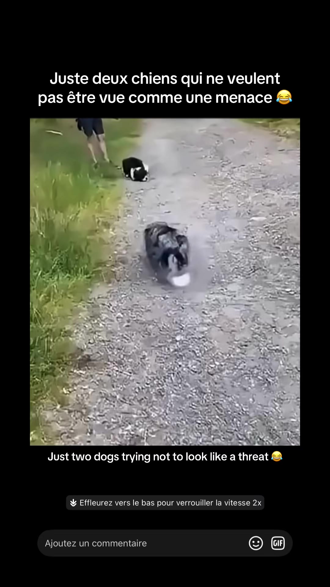 @LOL 😂