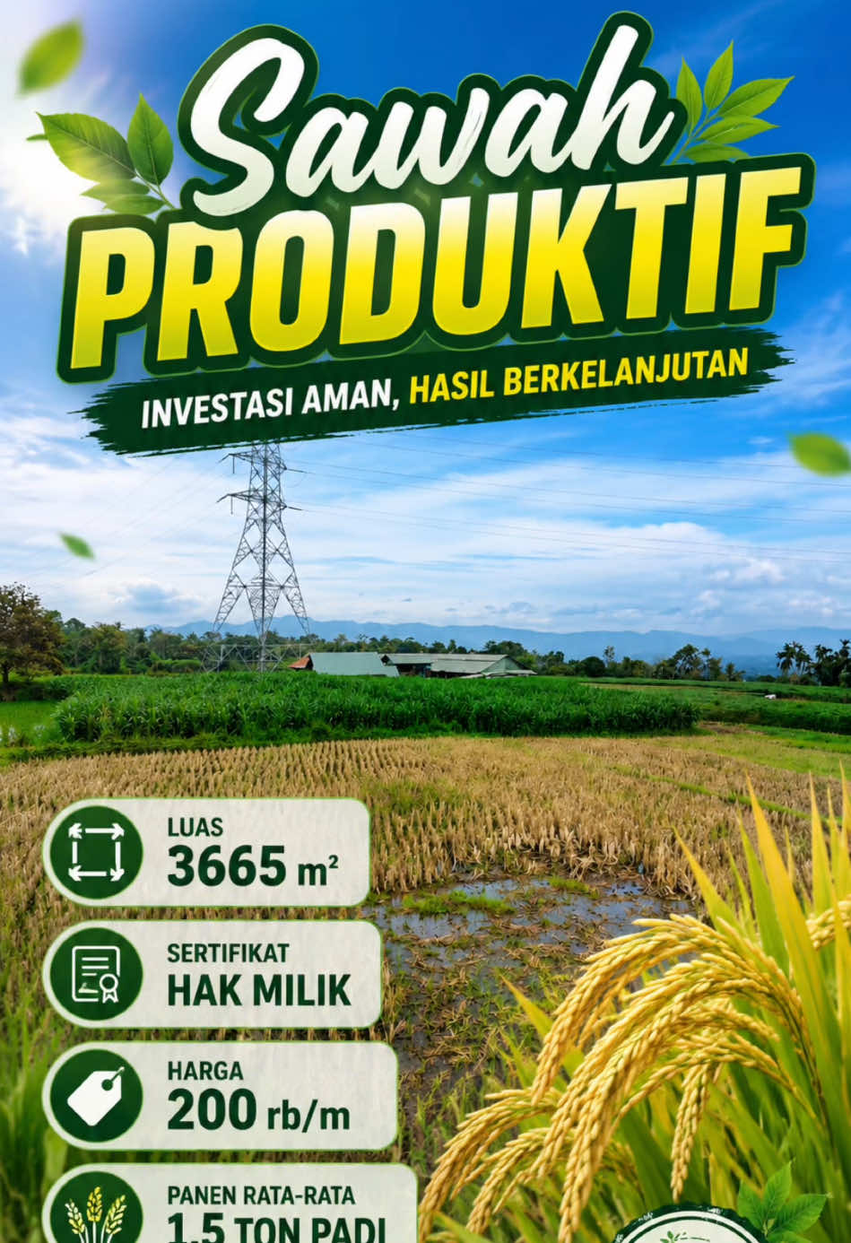 @Sumbar Property