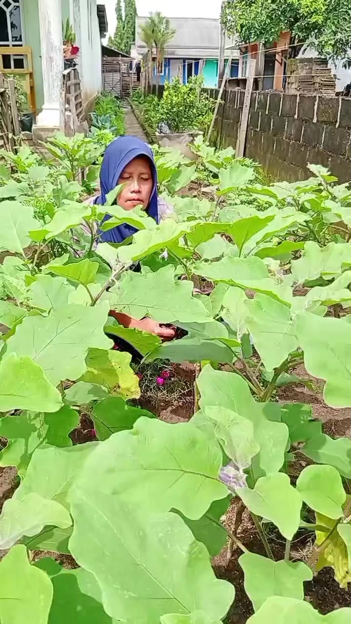 @Prihatini2512