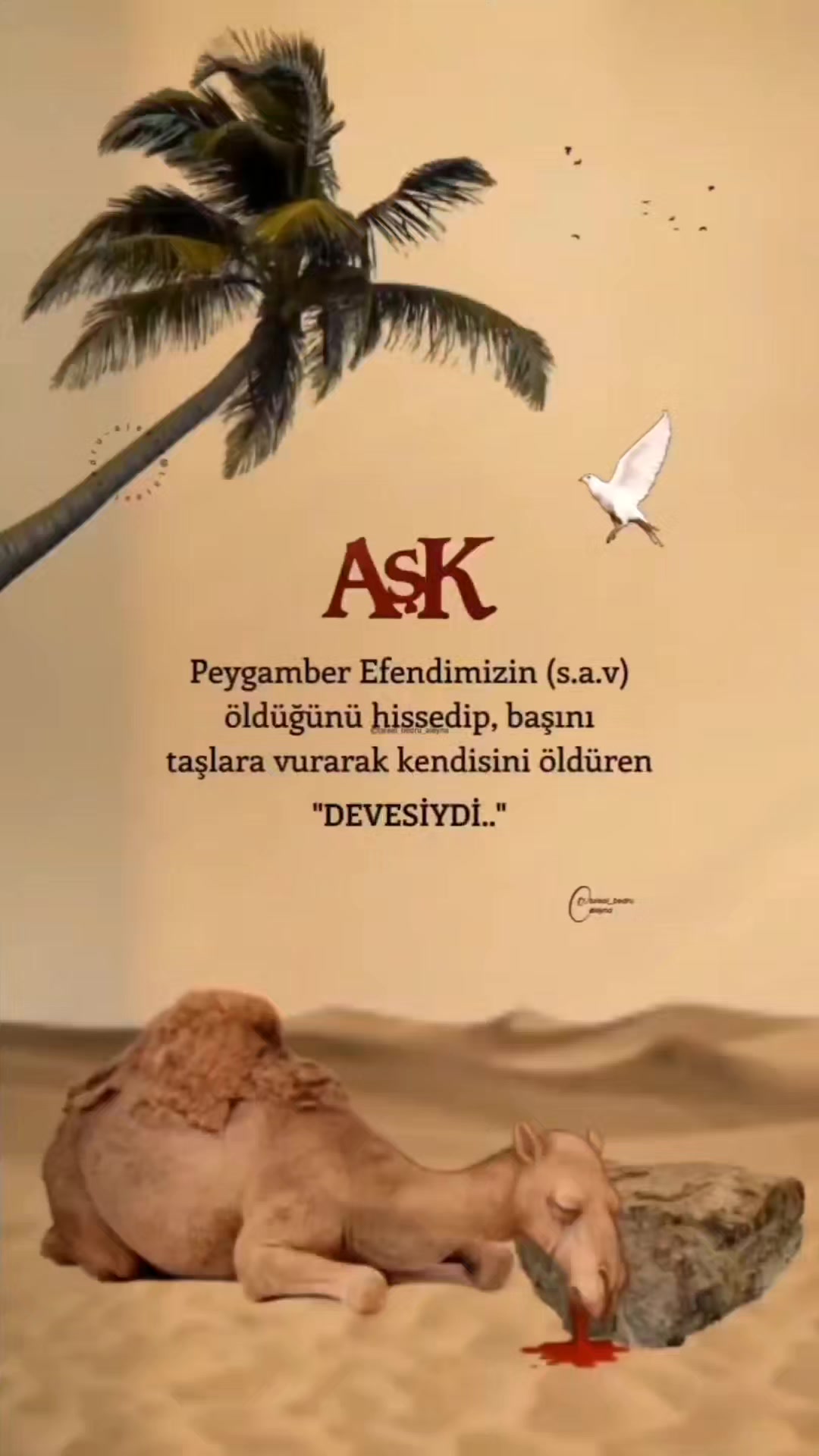 @ersin 34