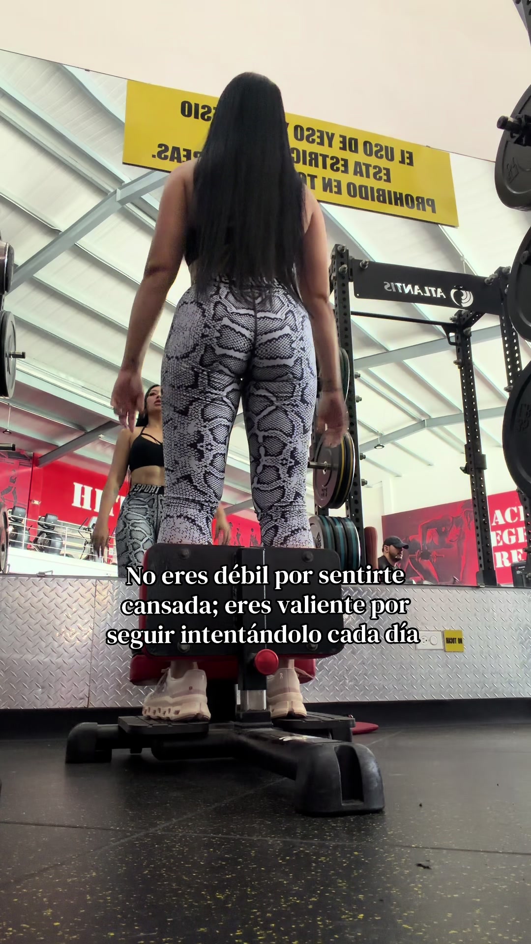 @ArleMiranda